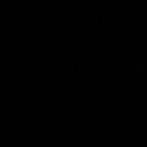 Meet your Posher, Colin